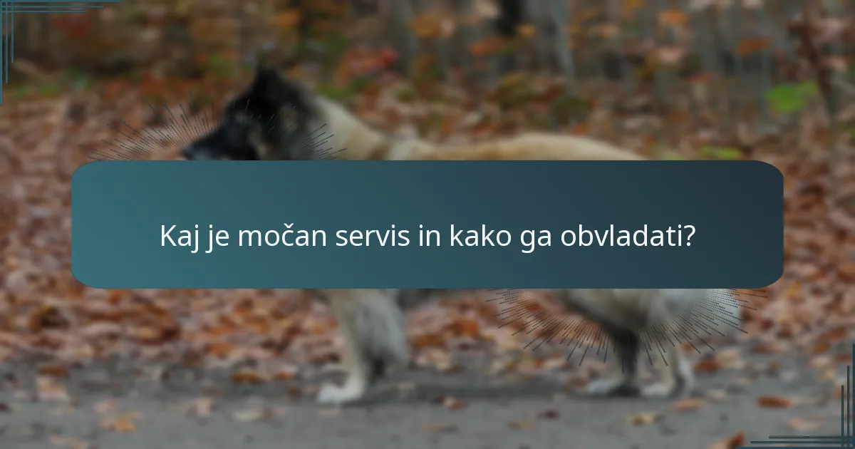 Kaj je močan servis in kako ga obvladati?