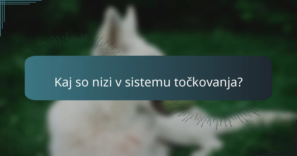 Kaj so nizi v sistemu točkovanja?