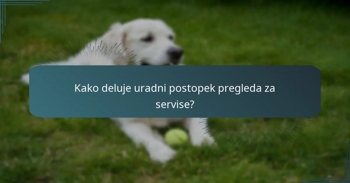 Kako deluje uradni postopek pregleda za servise?