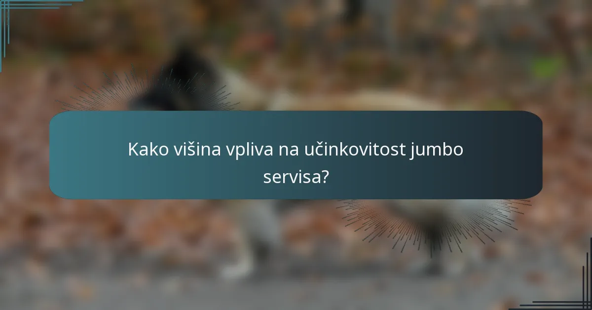 Kako višina vpliva na učinkovitost jumbo servisa?