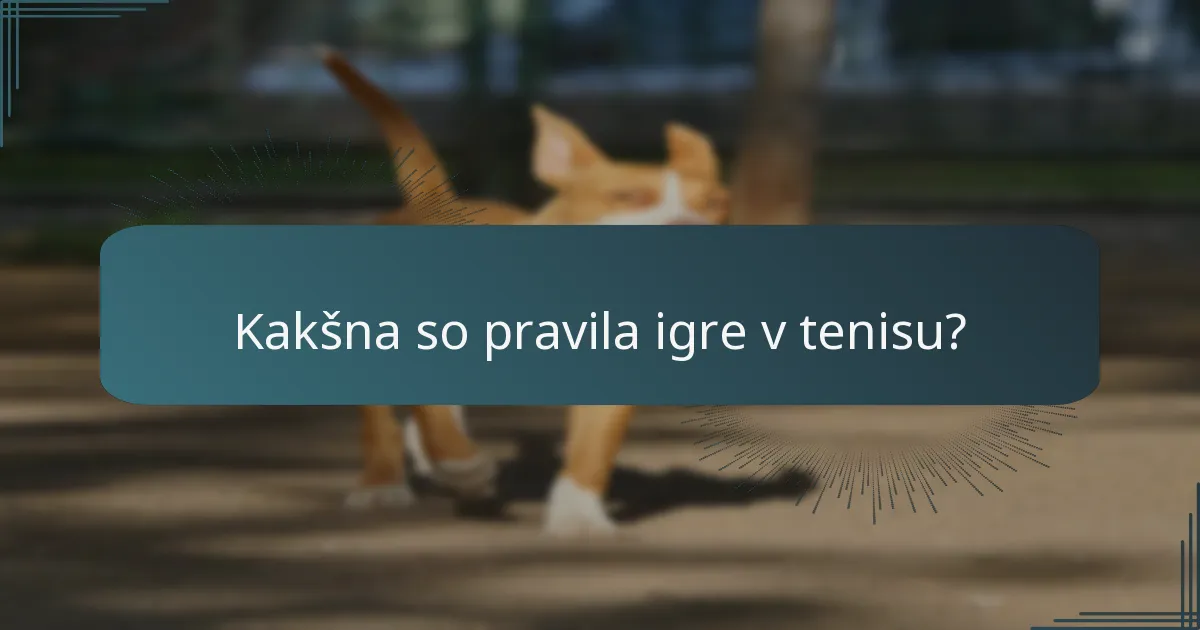 Kakšna so pravila igre v tenisu?