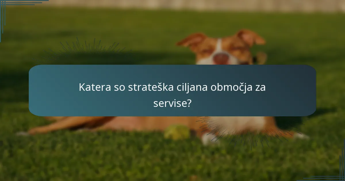 Katera so strateška ciljana območja za servise?