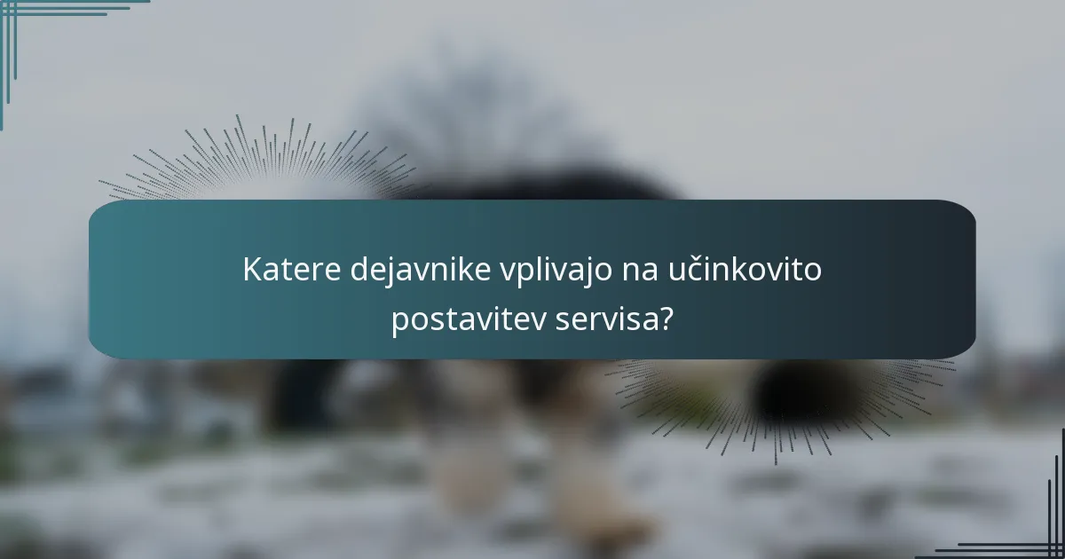 Katere dejavnike vplivajo na učinkovito postavitev servisa?